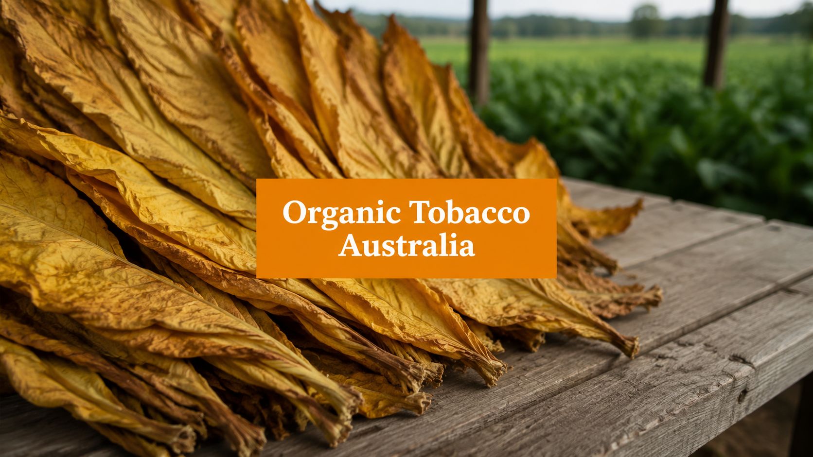 Organic Tobacco Australia: Key Facts for 2026